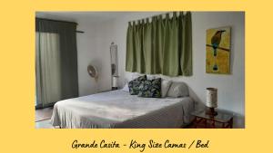 a bedroom with a bed and a green curtain at Dos Casitas Tranquilo in Progreso