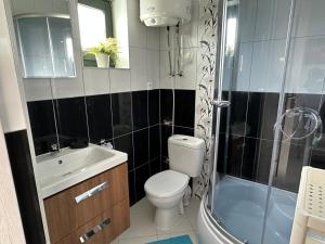 une salle de bain avec toilettes, lavabo et douche dans l'établissement Domki i apartamenty Mila, à Sarbinowo 5 autres photos