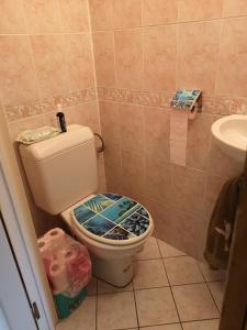 Edelweiss : حمام مع مرحاض أسفل المقعد