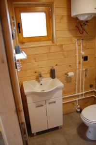 a small bathroom with a sink and a toilet at Vila Bella, Tara, Zaovinsko jezero in Zaovine