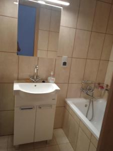 a bathroom with a sink and a bath tub at Apartament Boguslawskiego in Przemyśl
