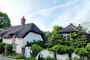 多切斯特Piddle Puddle Cabin的相册照片