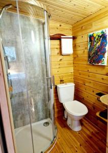 a wooden bathroom with a toilet and a shower at Piddle Puddle Cabin in Dorchester