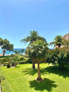 een palmboom in een park met groen gras bij Estudio Sol del Mar in Torrox