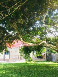 una rama de un árbol delante de una casa en Mavern House Apartments en Elmina