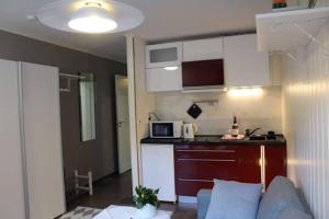 eine kleine Küche mit einem Sofa in einem kleinen Apartment in der Unterkunft Small Cozy Apartment in Gloppen in Vereide