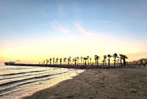 a group of palm trees on a beach with the ocean at Marconi Apartments in Durrës