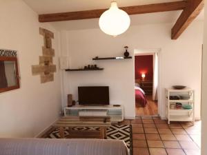 sala de estar con TV y sofá en Gîte entre mer et Cévennes, en Le Cailar