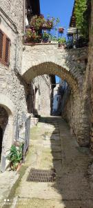 un viejo puente de piedra con algunas plantas. en casa belvedere a Valle San Martino di Spoleto en Spoleto
