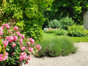 Giardino di L'Envolée Sauvage
