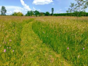 Paesaggio naturale nelle vicinanze dell'affittacamere