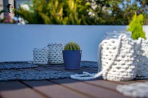 una mesa con una maceta y un cactus en Donna's Family Residence en Porto Rafti