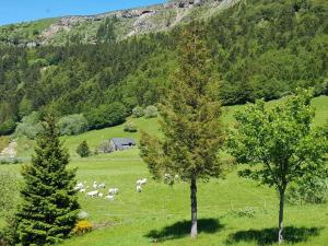 a herd of sheep grazing in a field with trees at Appartement spacieux au cœur du massif du Sancy in Le Mont-Dore