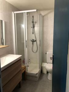 a bathroom with a shower and a toilet at Appartement spacieux au cœur du massif du Sancy in Le Mont-Dore