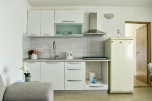 Kuchyň nebo kuchyňský kout v ubytování Apartman Noa