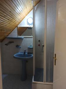 ein Bad mit einem Waschbecken und einer Dusche in der Unterkunft Almavilla in Gyenesdiás