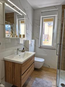 een badkamer met een wastafel, een toilet en een spiegel bij Apartment Lori in Matulji