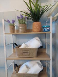 a bathroom shelf with baskets of towels and plants at Eva's apartment in Karistos