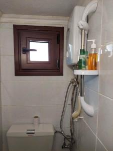 a small bathroom with a toilet and a window at Traditional House "Elisavet" in Próti +20 photos