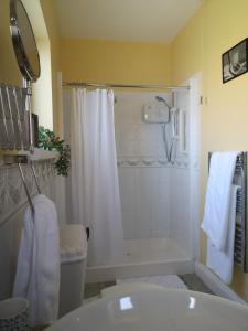 uma casa de banho com um chuveiro, um WC e um lavatório. em Beautiful one bed apartment with stunning sea view em Waterford