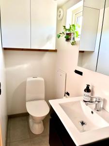 a bathroom with a white toilet and a sink at Neptuni Bed and Kitchen in Varberg