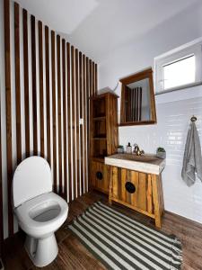 a bathroom with a toilet and a sink at Acasa la Bunica, Cheile Turzii in Petreştii de Jos