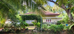 Zahrada ubytování CHARAKAMA Guest Bungalow - GAMPAHA