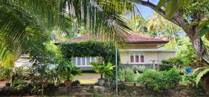 a house with a palm tree in front of it at CHARAKAMA Guest Bungalow - GAMPAHA in Gampaha
