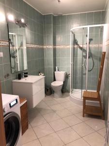 W łazience znajduje się prysznic, toaleta i umywalka. w obiekcie Bałtycki Chill - apartament z możliwością Home Office w mieście Gdynia