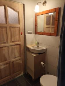 a bathroom with a sink and a mirror and a toilet at Dom Jura Krakowsko- Częstochowska in Siedlec