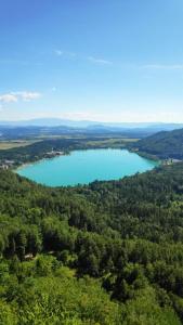 una vista aérea de un lago en medio de un bosque en Privatzimmer STEINER, en Weitendorf