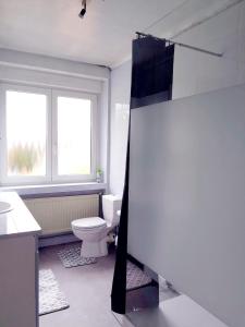 a bathroom with a toilet and a sink at Eden in Créhange