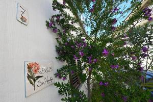 a bunch of flowers on the side of a wall at B&B Su Neulagi in Triei