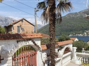 a palm tree next to a white fence and a house at Apartment Danja in Kamenari