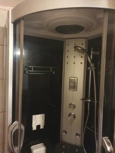 a bathroom with a shower and a toilet at Apartment Danja in Kamenari