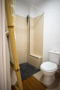 a bathroom with a toilet and a shower at The Village House in Machico