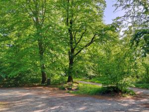 un parco con una panchina sotto un albero di Dronninglund Appartements a Dronninglund