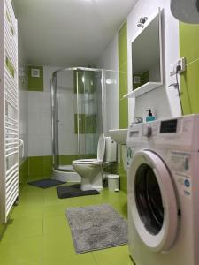 a bathroom with a shower and a washing machine at Chata Zemplin in Kaluža