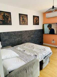 een slaapkamer met een bed en een flatscreen-tv bij Lisandrina in Ajaccio
