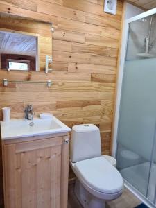 uma casa de banho com um WC, um lavatório e um chuveiro em Tiny House Roulotte em Cuges-les-Pins