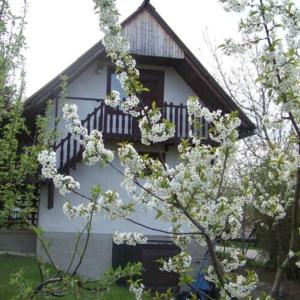 Imagen de la galería de Nefelejcs Apartman, en Fertőhomok 33 fotos más