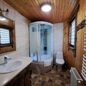Un baño con ducha, lavabo e inodoro. en Зарінок карпат, en Mykulychyn