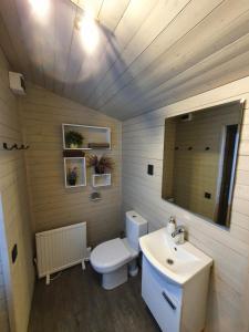 a bathroom with a white toilet and a sink at Purenes - Barrel shaped pod with hot tube in Sliseri