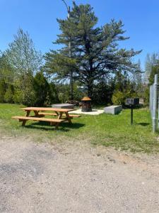 a picnic table in the grass with a grill at Motel St-Ambroise in Saint-Ambroise