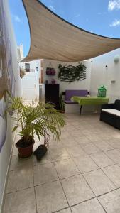 patio ze stołem i doniczką w obiekcie Mini House Nane w mieście Playa Honda