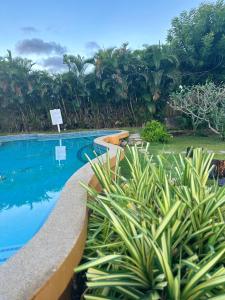 a swimming pool in a resort with plants at Ambitious Apartment Nadi in Nadi