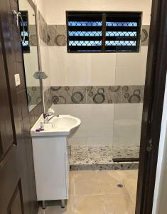 a bathroom with a sink and a shower at Ambitious Apartment Nadi in Nadi
