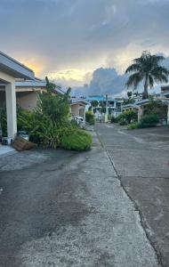 an empty street in front of houses with a palm tree at Ambitious Apartment Nadi in Nadi