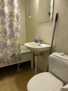 a bathroom with a white toilet and a sink at Pretty flat with bathtub near nature in Ryd center in Linköping