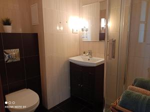 łazienka z umywalką i toaletą w obiekcie Apartament 6 Pietro w Toruniu